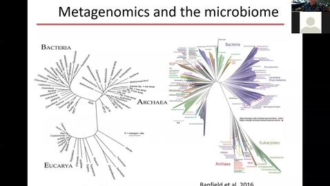 Thumbnail for Metagenomics and microbiome lecture