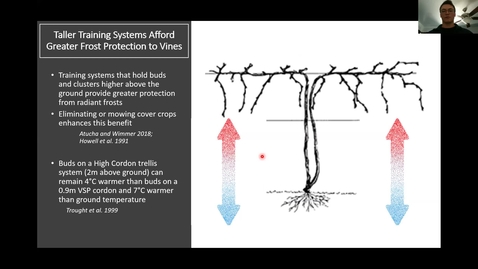 Thumbnail for entry VEN290 How trellis design can improve fruit quality in cold climates by Jason Reum (April 14 2020)