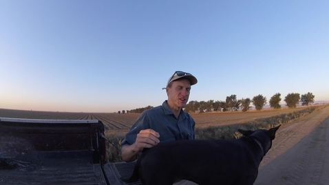 Thumbnail for Dog'nDoc_Alfalfa#4_Rake_Bale.mov