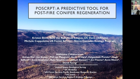 Thumbnail for CFSC-UCD Webinar: Conifer regeneration after severe wildfire