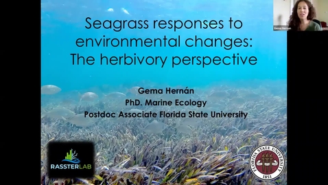 Thumbnail for entry BML - Dr. Gema Hernán: Seagrass responses to environmental changes: the herbivory perspective