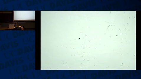 Thumbnail for ARE139: Lecture 15, Fall 2015