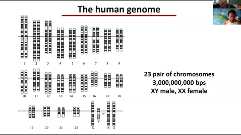 Thumbnail for Human genome lecture