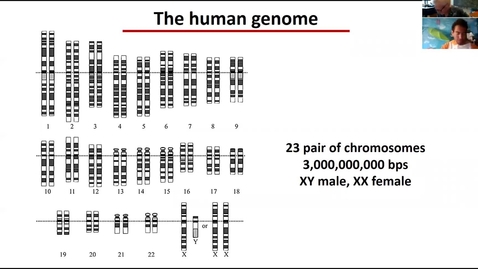 Thumbnail for entry Human genome lecture