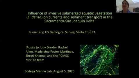 Thumbnail for entry BML - Dr. Jessie Lacy: Influence of invasive submerged aquatic vegetation (E. densa) on currents and sediment transport in the Sacramento-San Joaquin Delta