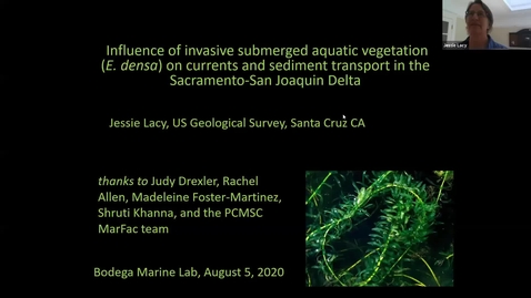 Thumbnail for BML - Dr. Jessie Lacy: Influence of invasive submerged aquatic vegetation (E. densa) on currents and sediment transport in the Sacramento-San Joaquin Delta