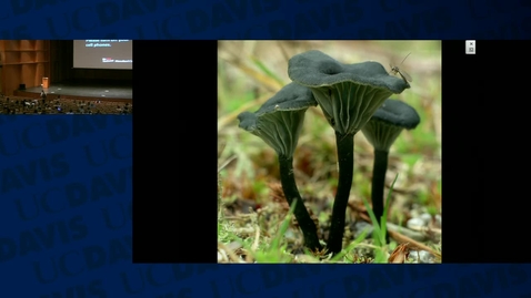 Thumbnail for BIS002C: 2016-02-17 8:30