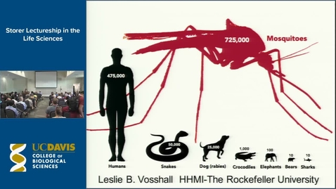 Thumbnail for entry Storer Lecture - Leslie Vosshall 5-24-17