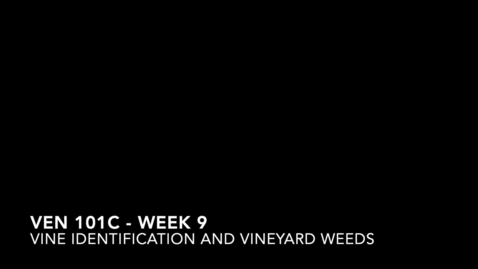 Thumbnail for VEN 101C - Week 9