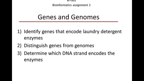 Thumbnail for Bioinformatics assignment 2: Genes and genomes
