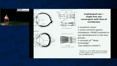 Thumbnail for BIS002C: 2016-03-01 8:30