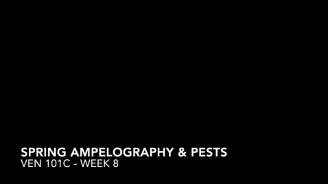 Thumbnail for VEN 101C - Week 8