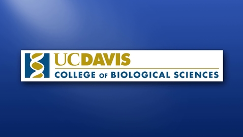 Thumbnail for 2019 Biological Sciences Commencement – June 14 2019