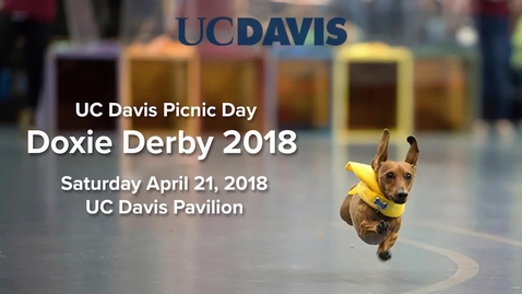 Thumbnail for entry 2018 Doxie Derby -  Picnic Day - April 21, 2018
