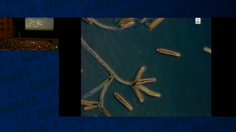 Thumbnail for BIS002C: 2016-02-16 8:30