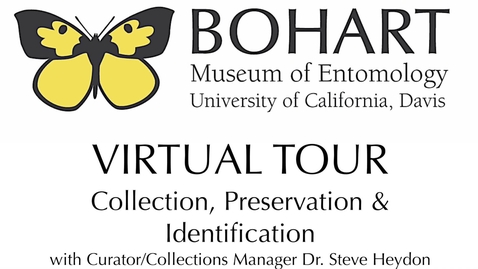 Thumbnail for entry Bohart Museum of Entomology Virtual Tour: Collection, Preservation &amp; Identification (Dr. Steve Heydon)