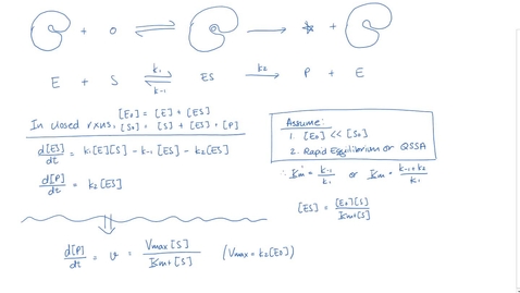 Thumbnail for Enzyme Inhibition I (competitive inhibition)