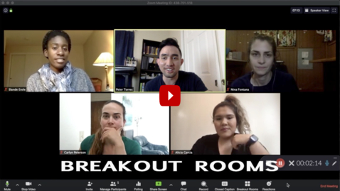 Thumbnail for Using Zoom in Teaching