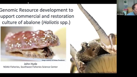 Thumbnail for entry BML - Dr. John Hyde: Genomic resource development to support commercial and restoration aquaculture of abalone (Haliotis spp.)