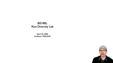 Thumbnail for entry BIS180L Lecture7a RiceSNPs