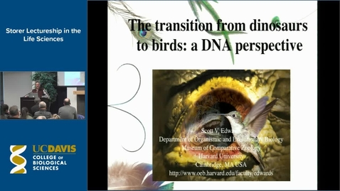 Thumbnail for Storer Lecture - Scott Edwards 2-1-17
