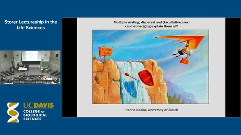 Thumbnail for Storer Lecture - Hanna Kokko 12-7-17