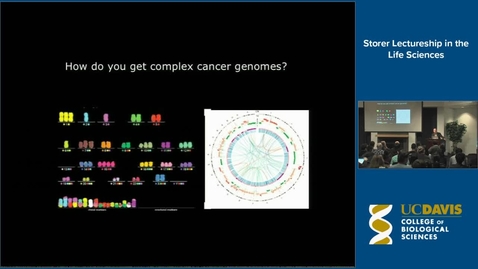 Thumbnail for Storer Lecture - David Pellman 3-8-18