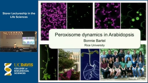 Thumbnail for Storer Lecture - Bonnie Bartel 4-19-17