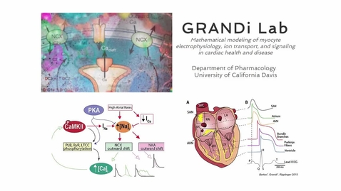 Thumbnail for The Grandi Lab