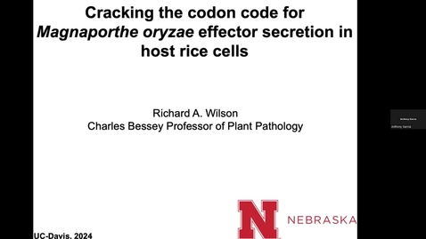Thumbnail for entry Richard Wilson - Cracking the codon code for Magnaporthe oryzae effector secretion in host rice cell