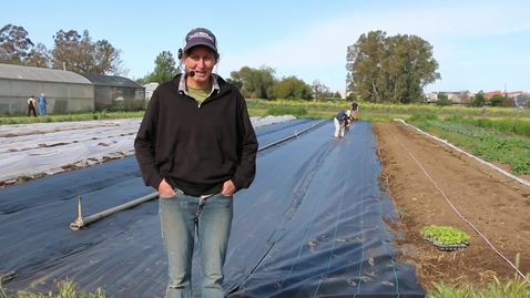 Thumbnail for PLS49: Wk 3 - No till vegetable farming