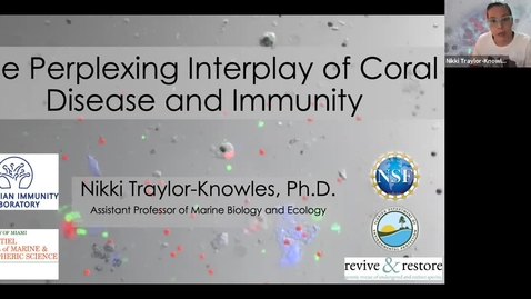 Thumbnail for entry BML - Dr. Nikki Traylor-Knowles: &quot;Coral cells, genomics and disease&quot;