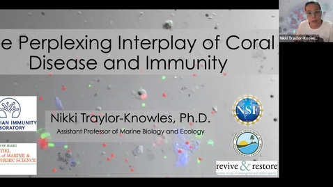 Thumbnail for BML - Dr. Nikki Traylor-Knowles: &quot;Coral cells, genomics and disease&quot;