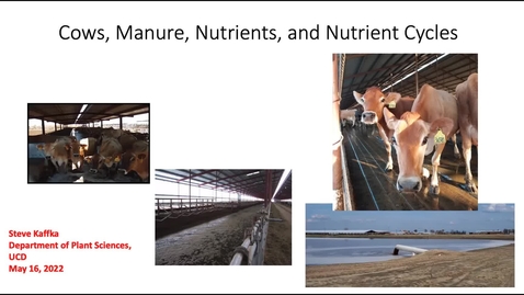 Thumbnail for entry SSC 109 Guest Lecture Steve Kaffka - Animal Agriculture and Nitrogen