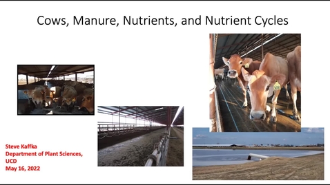 Thumbnail for SSC 109 Guest Lecture Steve Kaffka - Animal Agriculture and Nitrogen