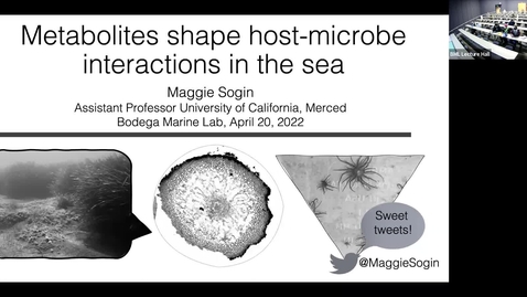 Thumbnail for entry Bodega Marine Laboratory Seminar Series: Dr. Maggie Sogin