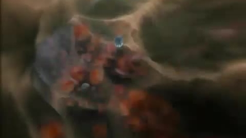 Thumbnail for Inner Life Of A Cell by Robert Lue