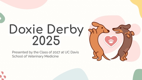 Thumbnail for Doxie Derby 2025