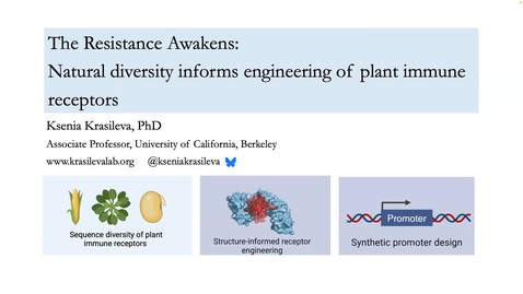 Thumbnail for Dr. Ksenia Krasileva - The Resistance Awakens: Natural Diversity informs engineering of plant immune receptors