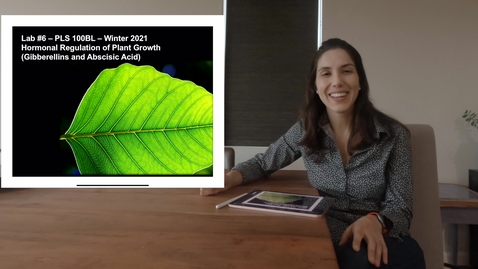 Thumbnail for PLS100BL Lab 6: Hormonal Regulation of Plant Growth (GA &amp; ABA)