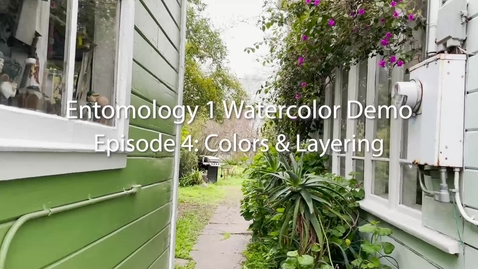 Thumbnail for entry Entomology 1 Watercolor Demo: Episode 4--Colors and Layering