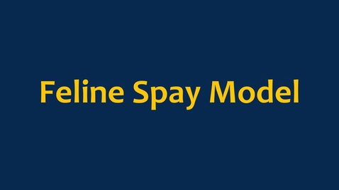 Thumbnail for Feline Spay Model Video 2023