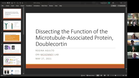 Thumbnail for entry Regina Agulto: &quot;Dissecting the Function of the Microtubule-associated Protein, Doublecortin&quot;