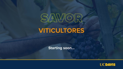 Thumbnail for entry Savor - Viticultores: Mexican American Perspectives on Grapes, Community and Resilience