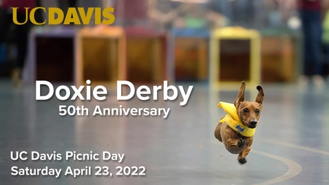 Thumbnail for entry 2022 Doxie Derby -Picnic Day April 23, 2022