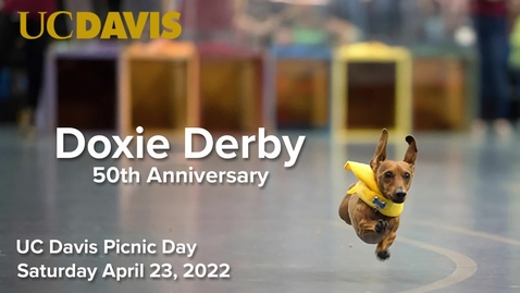 Thumbnail for 2022 Doxie Derby -Picnic Day April 23, 2022