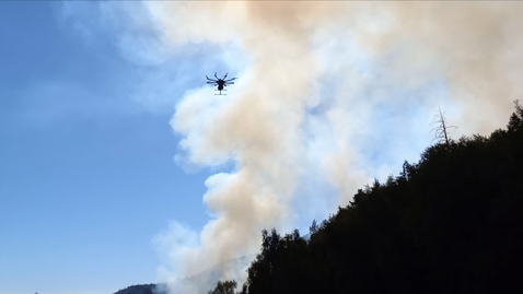 Thumbnail for wildfire-detect-ambient