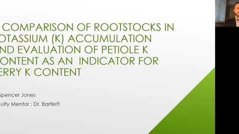 Thumbnail for entry VEN290 - A comparison of rootstocks potassium accumulation and evaluation of petiole potassium content as an indicator for berry potassium content