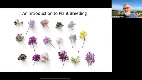 Thumbnail for entry Introduction to Plant Breeding Charlie Brummer 1.12.21 (With Discussion)