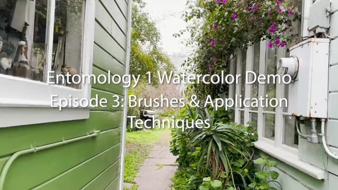Thumbnail for Entomology 1 Watercolor Demo: Episode 3--Brushes and Application Techniques